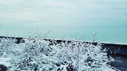 Close-up of snow on sea against sky