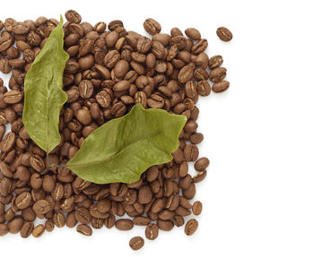 Close-up of coffee beans with leaves on white background