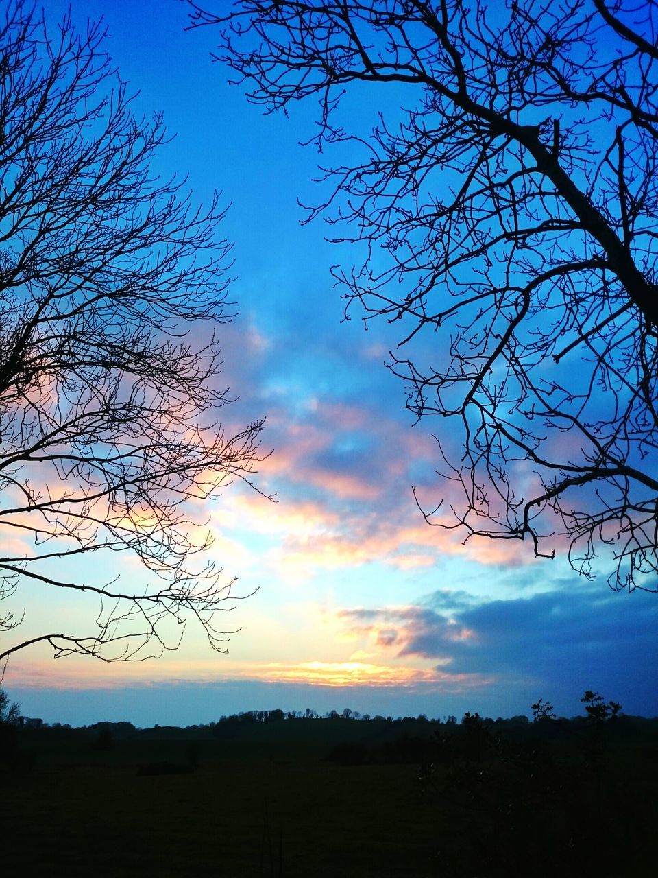 silhouette, tranquility, tranquil scene, bare tree, sky, tree, scenics, landscape, beauty in nature, nature, sunset, branch, blue, cloud - sky, cloud, field, idyllic, non-urban scene, dusk, horizon over land