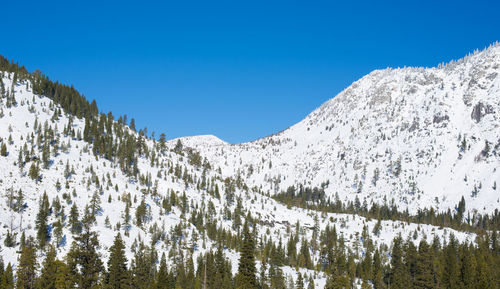 Low angle view of snowcapped mountains against clear blue sky