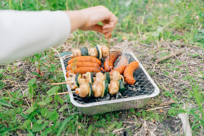 Cropped hand of person picking vegetables on field