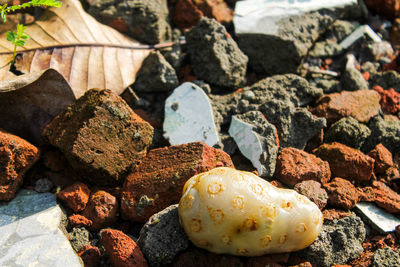 High angle view of stones on pebbles