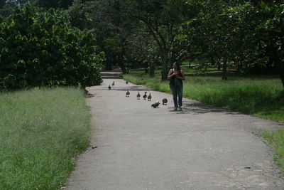 Rear view of woman walking on road amidst trees