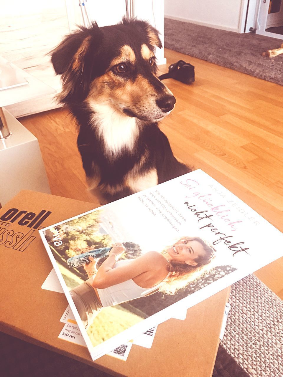 HIGH ANGLE PORTRAIT OF DOG WITH BABY AT HOME