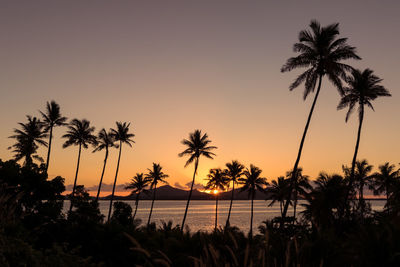 Silhouette palm trees by swimming pool against sky during sunset