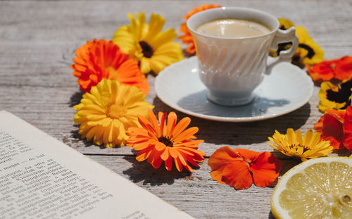 High angle view of various flowers on table