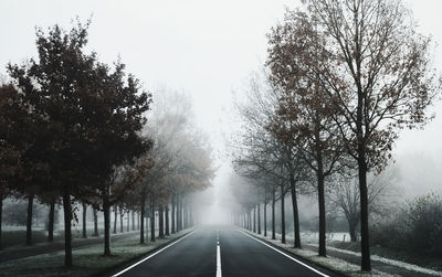 An empty road coverd by fog