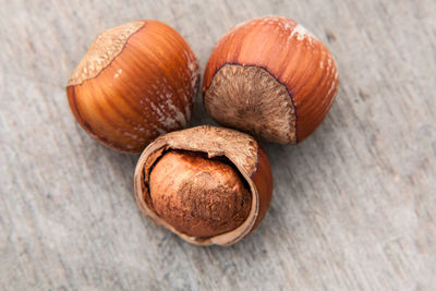 Close-up of snail on table