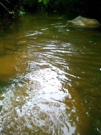 High angle view of lake