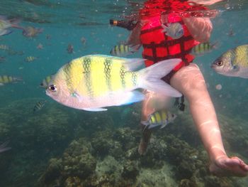 Man swimming in sea