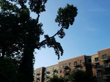 Low angle view of building against blue sky