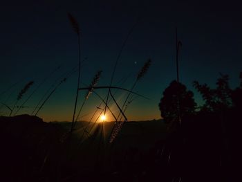 Silhouette trees on field against sky at sunset