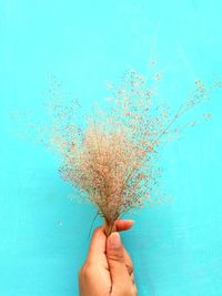 Hand holding plant against blue background