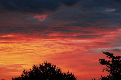 Low angle view of silhouette trees against dramatic sky