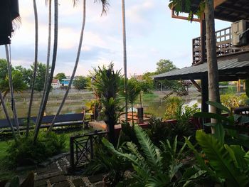 Palm trees by swimming pool against sky