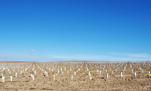 View of landscape against blue sky