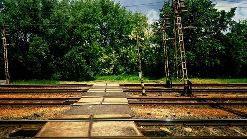 Railroad tracks amidst trees against sky