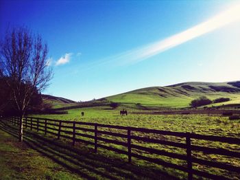 Scenic view of landscape against cloudy sky