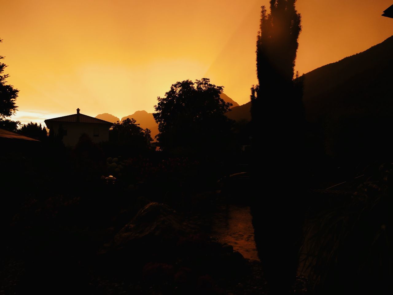 SILHOUETTE TREES AND BUILDING AGAINST SKY DURING SUNSET