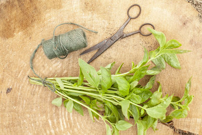 High angle view of vegetables