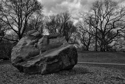 Bare trees on field against sky
