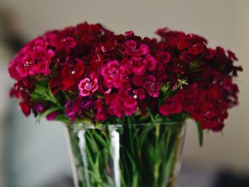 Close-up of red rose flowers in vase