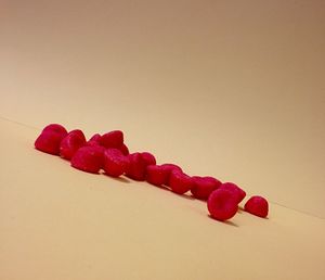 Close-up of red berries