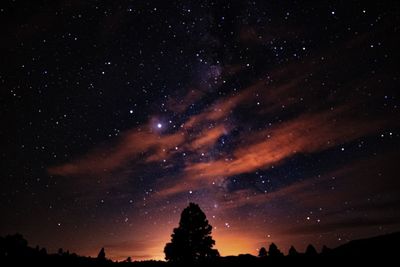 Low angle view of silhouette trees against sky at night