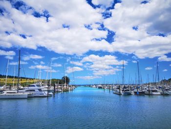 Sailboats moored in gulf harbor, auckland, new zealand