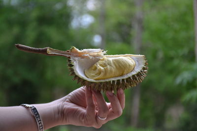 Close-up of hand holding ice cream