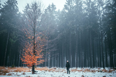 Man standing against trees in forest