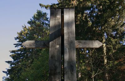 Low angle view of cross against trees