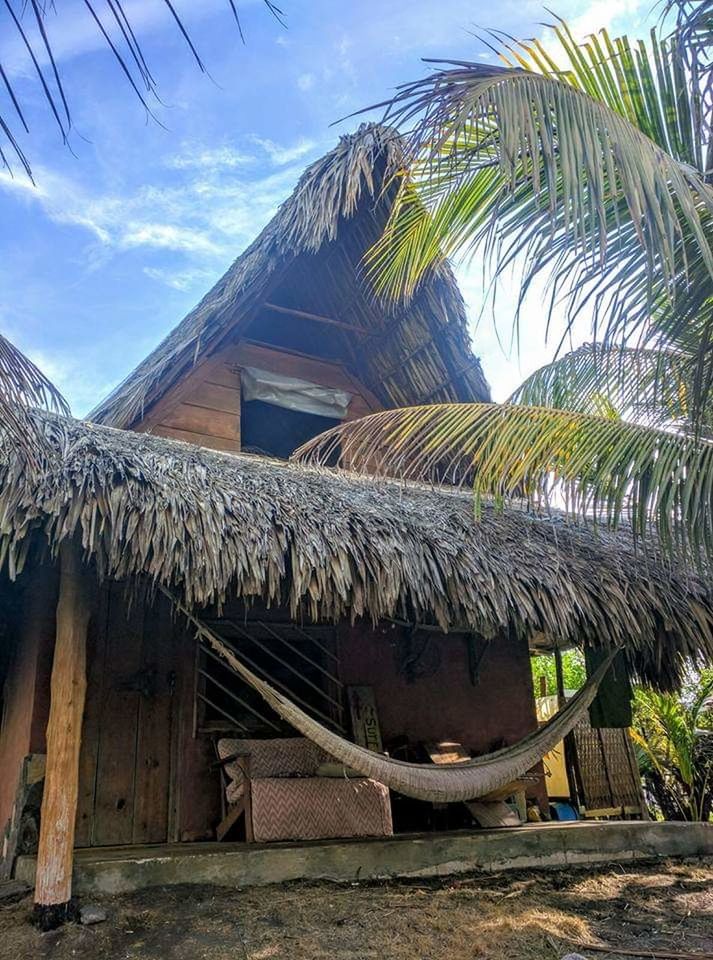 palm tree, tropical climate, built structure, architecture, sky, building exterior, nature, thatched roof, roof, house, plant, tree, building, no people, day, cloud - sky, hut, outdoors, growth, sunlight, palm leaf, coconut palm tree, roof tile