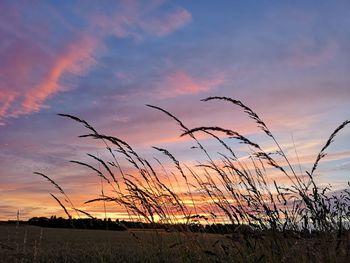 Silhouette landscape against sky during sunset