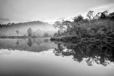 Reflection of trees in lake against sky