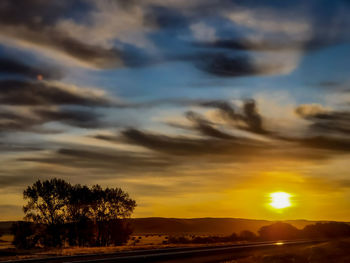Silhouette trees on landscape against sky during sunset