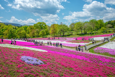 Scenic view of park against sky