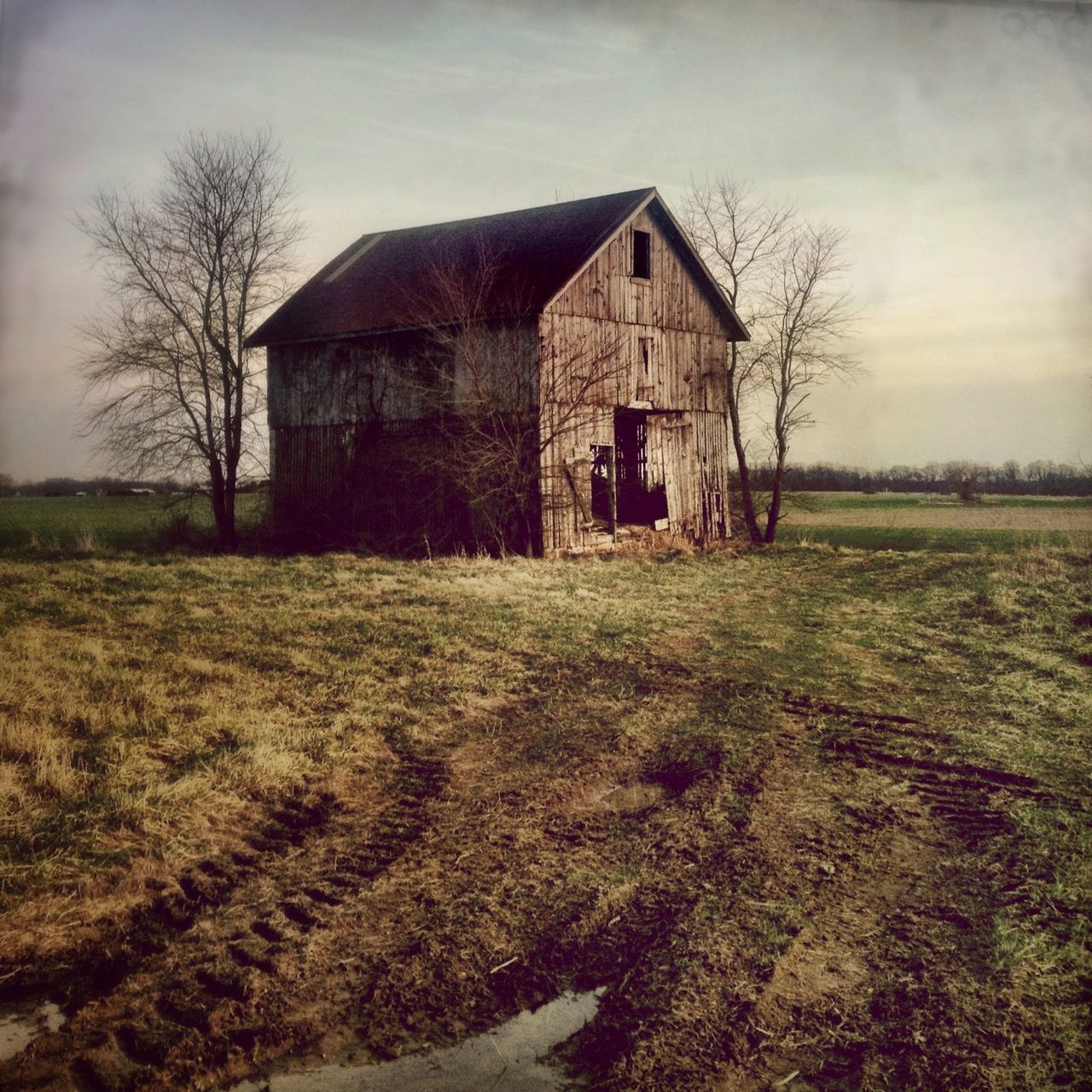 architecture, building exterior, built structure, field, grass, sky, bare tree, house, tree, landscape, abandoned, rural scene, old, grassy, tranquility, nature, tranquil scene, day, no people, outdoors