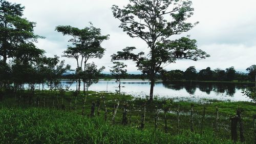 Scenic view of lake against sky
