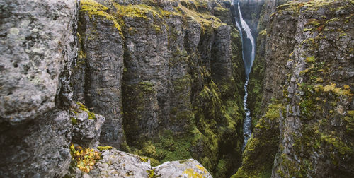 Scenic view of waterfall in forest