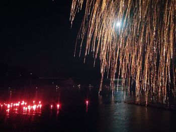 Low angle view of firework display