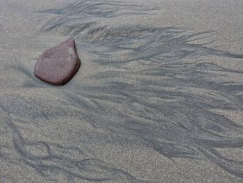 Close-up of crab on sand