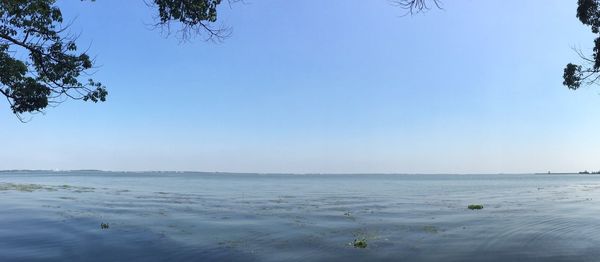 Scenic view of beach against clear blue sky