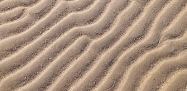 Full frame shot of sand dune