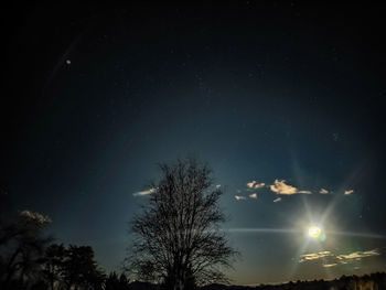 Low angle view of trees against sky at night
