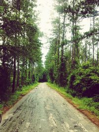 Road amidst trees in forest against sky