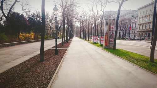 Empty road along trees