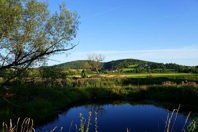 Scenic view of lake against clear blue sky