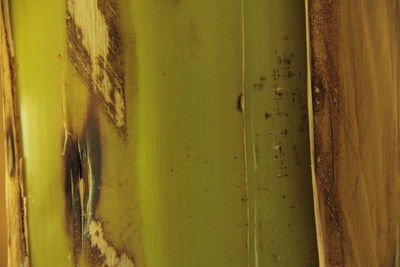 Full frame shot of yellow wall