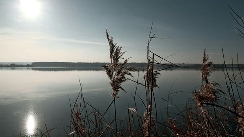 Scenic view of lake at sunset